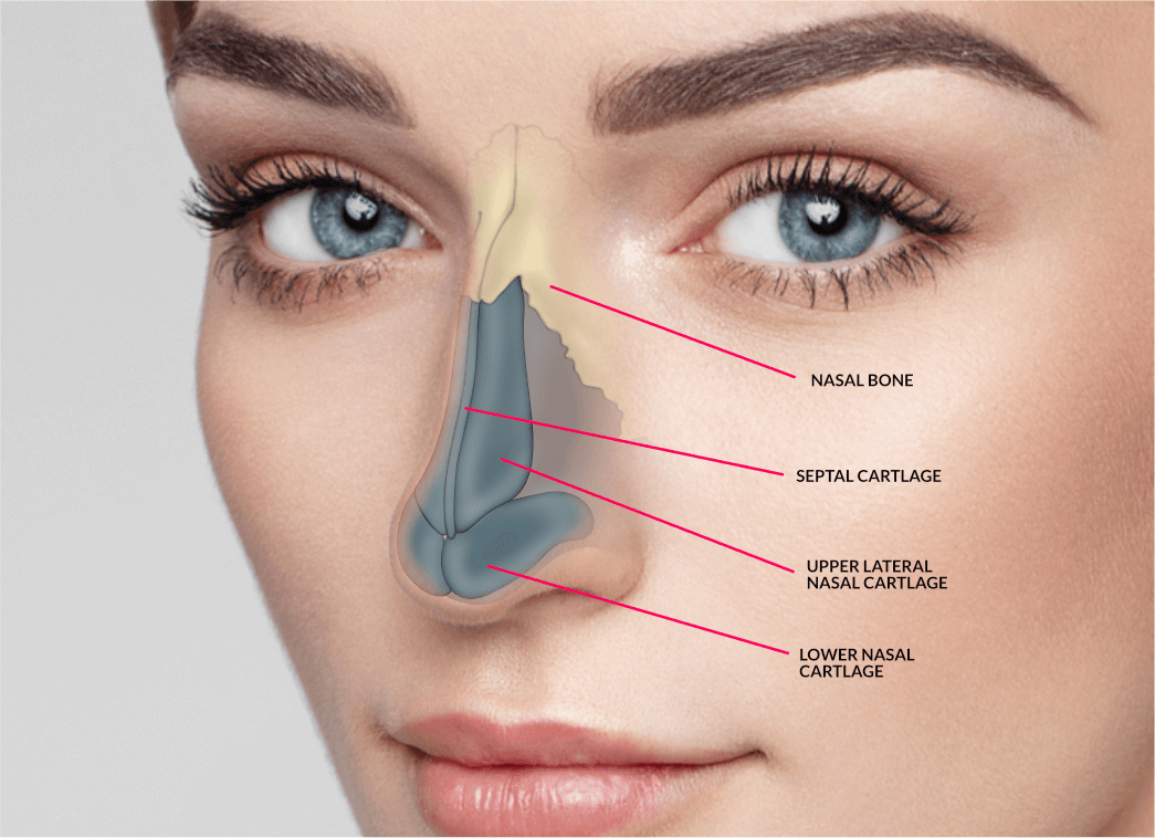 Best Rhinoplasty Surgery in Mumbai, Nose Treatment at Affordable Price Cost India by Dr Debraj Shome at The Esthetic Clinics